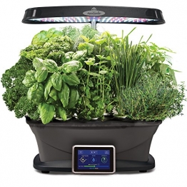 AeroGrow Miracle-Gro AeroGarden Kopfgeld mit Gourmet-Kräuter-Samen-Kapsel-Kit, Schwarz, 48,9x31,15x27,94 cm - 1