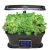 AeroGrow Miracle-Gro AeroGarden Kopfgeld mit Gourmet-Kräuter-Samen-Kapsel-Kit, Schwarz, 48,9x31,15x27,94 cm - 4