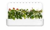 Click & Grow Smart Garden 9 Indoor-Garten M5261900, passend für 9 Kräuterkapseln, weiß - 1