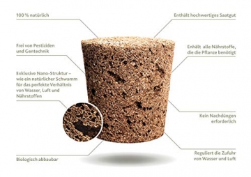 Emsa M5260600 Click und Grow Substratkapsel Wilde Erdbeere, Nachfüllpackung für Smart Garden, 3er-Set - 4