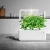 Emsa M5261700 Click & Grow Smart Garden 3 Indoor-Garten, passend für 3 Kräuterkapseln, weiß - 2