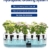 iDOO Hydroponische Anzuchtsysteme, 10 Pods Smart Garden mit Auto-Timer, LED Pflanzenlampe, Indoor Kräutergarten Keimungsset, höhenverstellbar, Wassermangelalarm - 3