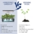 iDOO Hydroponisches Anzuchtsystem, 12Hülsen Smart Garden mit Automatisch Timer, 22W LED Pflanzenlampe und Leiser Lüfter, Höhenverstellbar Indoor Kräutergarten Kit, Schwarz - 2