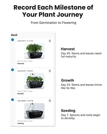 iDOO Hydroponisches Anzuchtsystem, Smart WiFi Garden mit LED-Pflanzenlampe, 6,5L Wasserbehälter, Ventilator, Hydrokultur für den Innenbereich, Höhenverstellbar Indoor Kräutergarten,12 Hülsen - 3