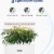 iDOO Smart Garden System, Hydroponic System mit LED-Wachstumslicht, Keimungs Kit mit Automatisches Timer, Hydroponische Anzuchtsysteme Höhenverstellbar, 37cm, Weiß (7 Pods) - 3