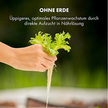 Klarstein GrowIt Cuisine • Smart Indoor Garden Anzuchtsystem • Hydroponik • bis zu 12 Pflanzen in 25-40 Tagen • automatisches LED-Beleuchtungs- und Bewässerungssystem • 2 L Wassertank • Grow It Smart! - 7