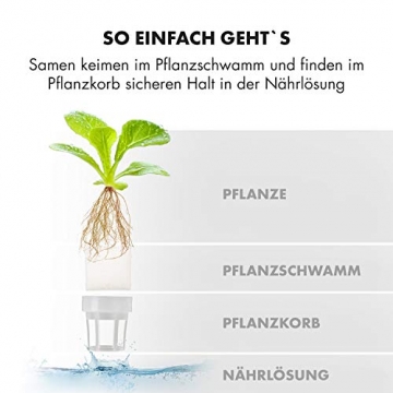 Klarstein GrowIt Cuisine • Smart Indoor Garden Anzuchtsystem • Hydroponik • bis zu 12 Pflanzen in 25-40 Tagen • automatisches LED-Beleuchtungs- und Bewässerungssystem • 2 L Wassertank • Grow It Smart! - 9