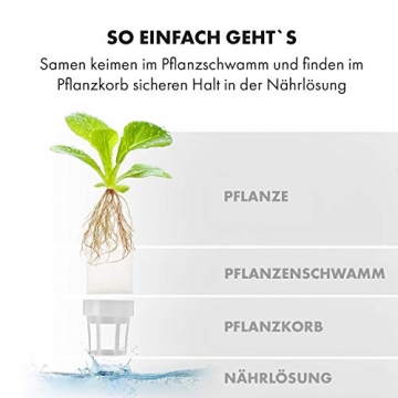 Klarstein GrowIt Cuisine - Smart Indoor Garden Anzuchtsystem, Hydroponik, bis zu 28 Pflanzen in 25-40 Tagen, automatisches LED-Beleuchtungs- und Bewässerungssystem, 8 L Wassertank, Grow It Smart! - 2