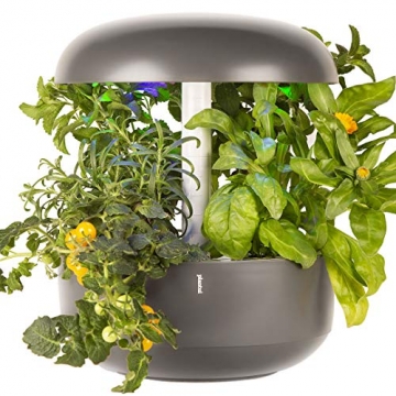 PLANTUI sg6-g Smart Garden, grau, 29 x 29 x 37 cm - 1