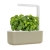 Smart Garden Übertopf 3, 30 x 28 x 10 cm, beige, von Click & Grow - 1