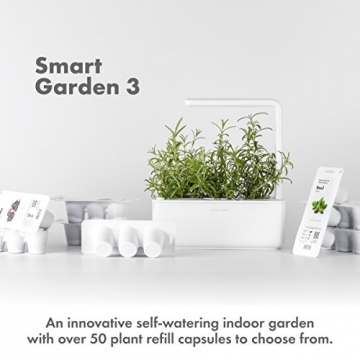 Smart Garden Übertopf 3, 30 x 28 x 10 cm, beige, von Click & Grow - 2